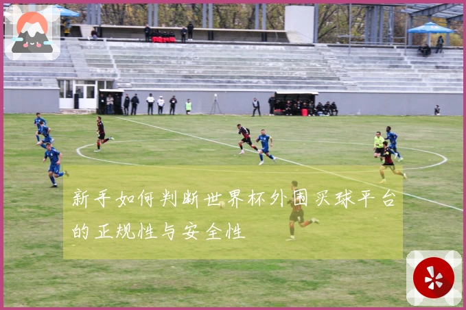 新手如何判断世界杯外围买球平台的正规性与安全性
