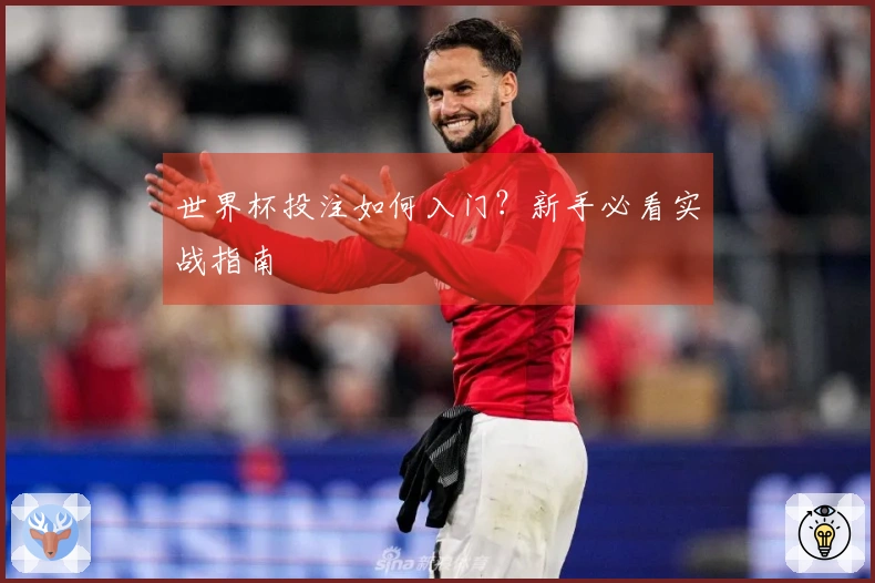 世界杯投注如何入门？新手必看实战指南