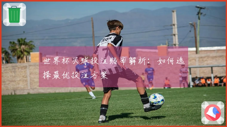 世界杯买球投注赔率解析：如何选择最优投注方案