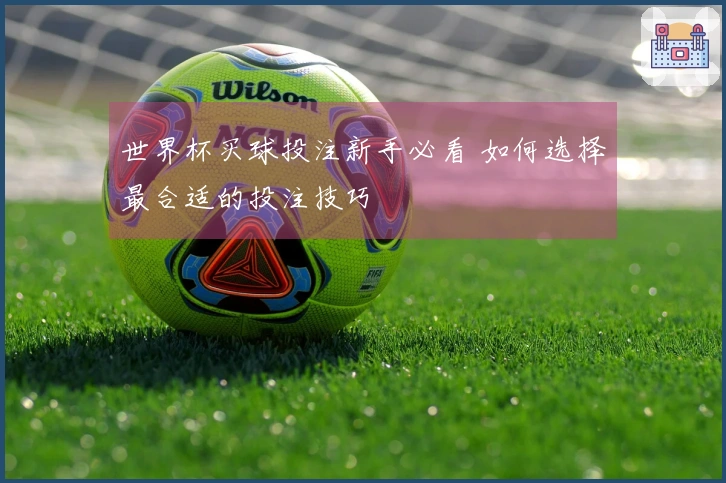 世界杯买球投注新手必看 如何选择最合适的投注技巧