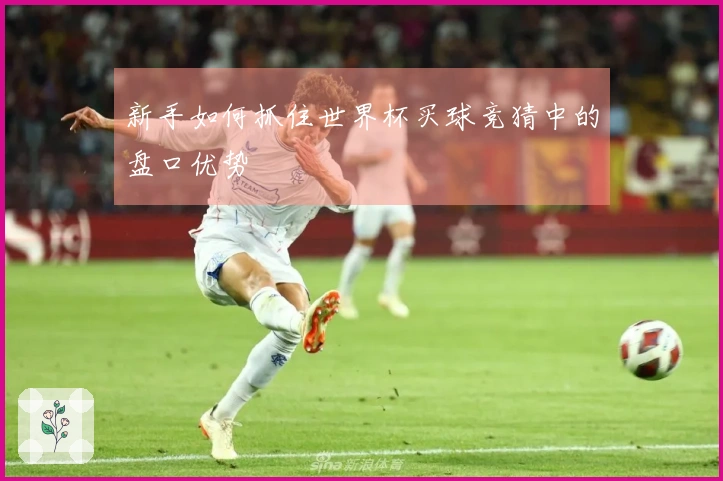 新手如何抓住世界杯买球竞猜中的盘口优势