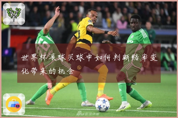世界杯滚球买球中如何判断赔率变化带来的机会