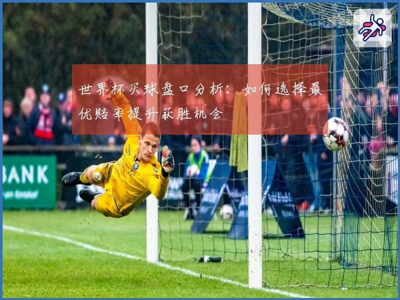 世界杯买球盘口分析：如何选择最优赔率提升获胜机会