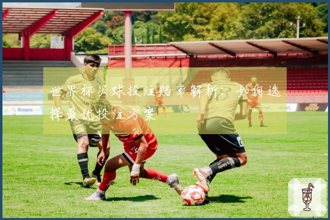 世界杯买球投注赔率解析：如何选择最优投注方案