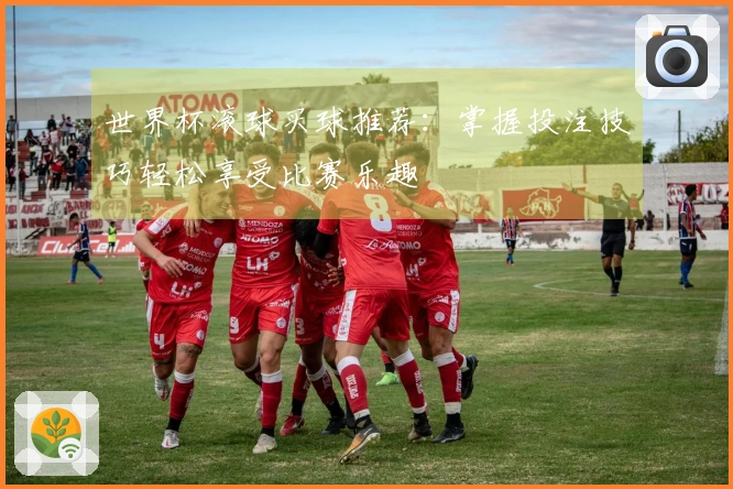 世界杯滚球买球推荐：掌握投注技巧轻松享受比赛乐趣