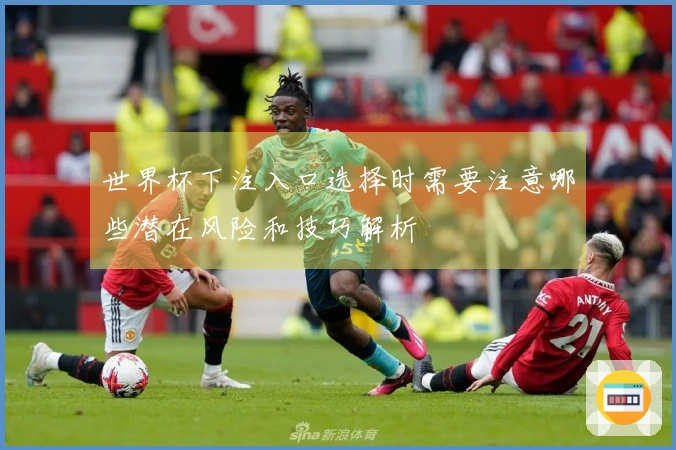 世界杯下注入口选择时需要注意哪些潜在风险和技巧解析