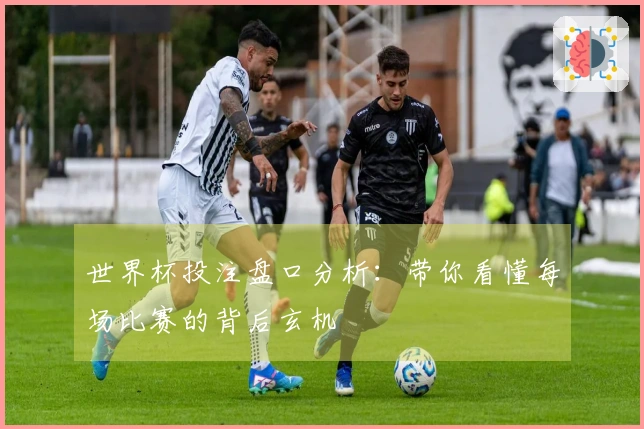 世界杯投注盘口分析：带你看懂每场比赛的背后玄机