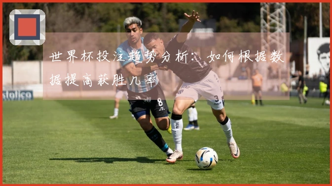 世界杯投注趋势分析：如何根据数据提高获胜几率
