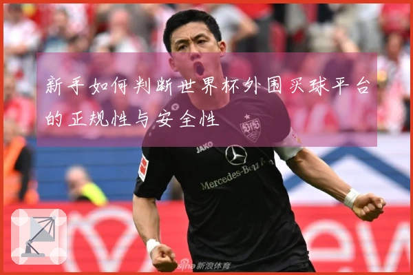 新手如何判断世界杯外围买球平台的正规性与安全性