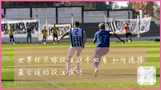 世界杯买球投注新手必看 如何选择最合适的投注技巧