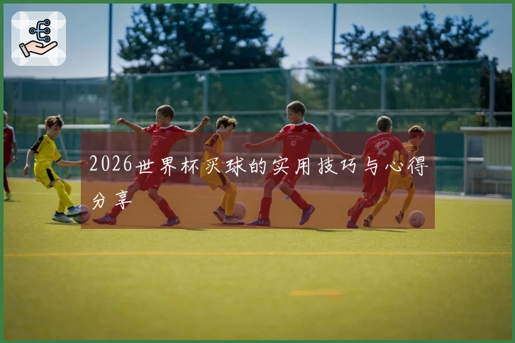 2026世界杯买球的实用技巧与心得分享