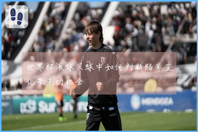 世界杯滚球买球中如何判断赔率变化带来的机会