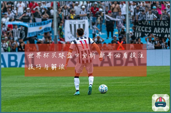 世界杯买球盘口分析 新手必看投注技巧与解读