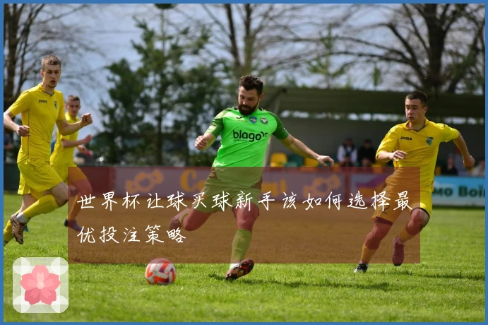 世界杯让球买球新手该如何选择最优投注策略